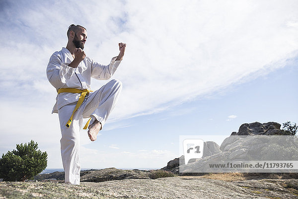 Man doing martial arts poses on a rock