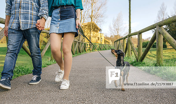 Young couple going walkies with dog  partial view