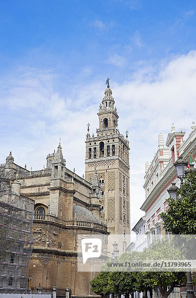 Spanien  Andalusien  Sevilla  Kathedrale und Torre Giralda