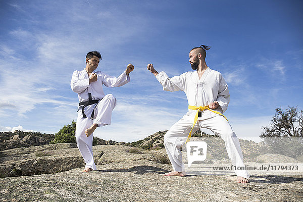 Men doing martial arts poses
