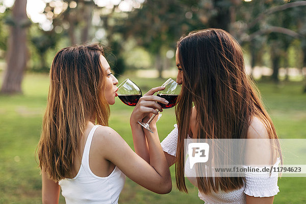 Zwei Frauen in einem Park,  die von Angesicht zu Angesicht Rotwein trinken.