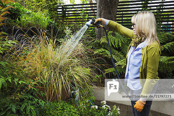 Frau  die in einem Garten steht und eine Pflanze in einem Topf mit Hilfe eines Schlauches mit Sprühvorrichtung gießt.