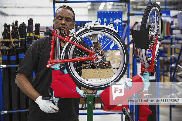 Male skilled factory worker assembling a bicycle in a factory attaching a wheel.