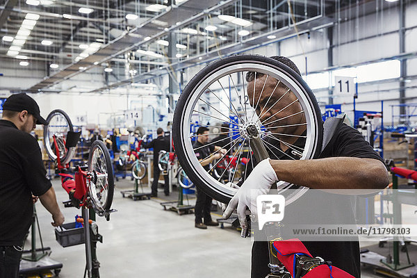 Male skilled factory worker assembling a bicycle in a factory  attaching a wheel.