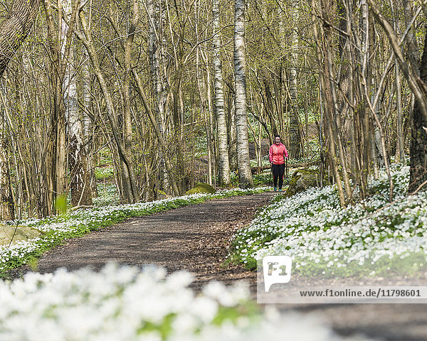 Woman Nordic walking in spring forest