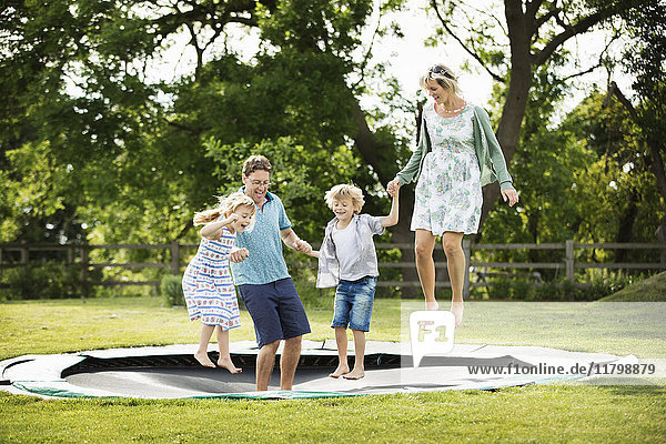 Mann  Frau  Junge und Mädchen halten sich an den Händen und springen auf einem in den Boden eingelassenen Trampolin in einem Garten.