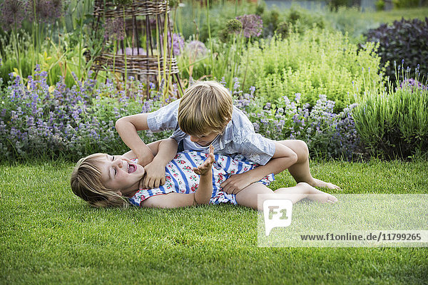 Smiling boy and girl in a garden  roughhousing  playing together  playfighting on a lawn.