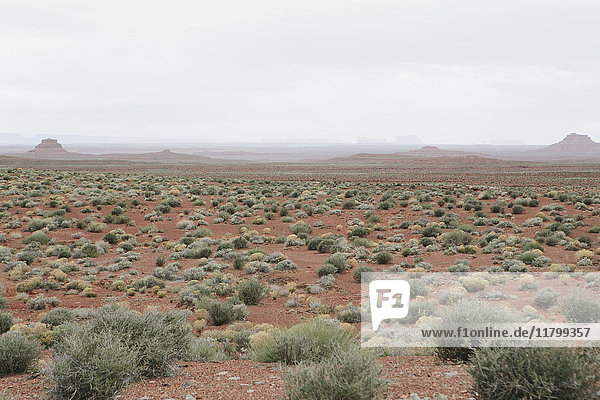 Mesa und weite Wüste im Tal der Götter  Utah