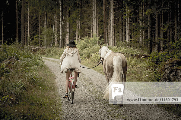 Frau auf Fahrrad und Pferd auf Feldweg
