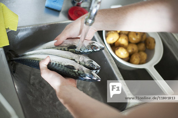 Händewaschender Fisch