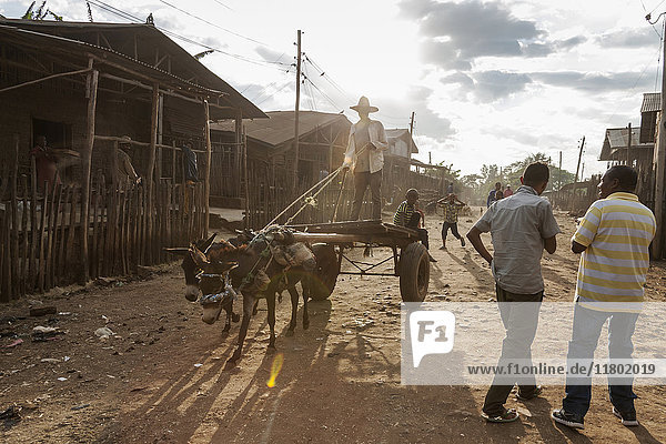 Mann reitet auf einem Eselskarren auf einer unbefestigten Straße  während andere Menschen auf der unbefestigten Straße stehen