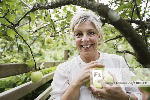 Smiling woman picking apples