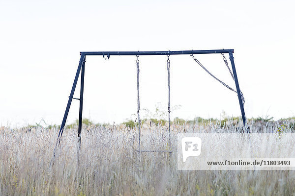 Old swing in meadow