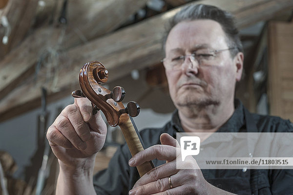 Craftsman examining violin at workshop