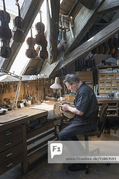 Craftsman making violin from wood