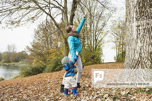 Mutter und Sohn versuchen  die Äste eines großen Baumes in einer Herbstlandschaft zu erreichen