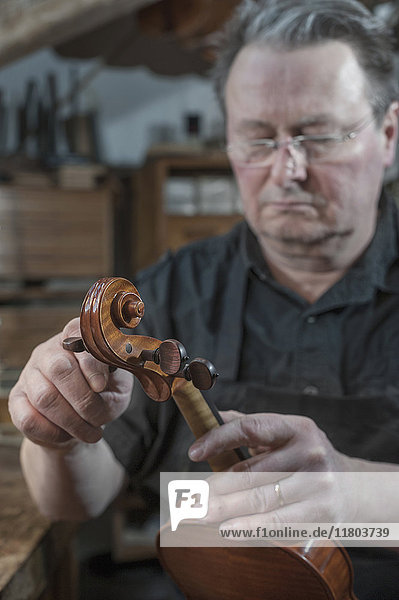 Craftsman in workshop examining violin