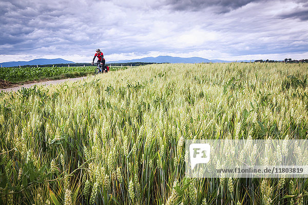 Man in sportswear riding bicycle on road amidst green field