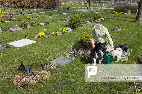 Frau mit Hunden auf Haustierfriedhof
