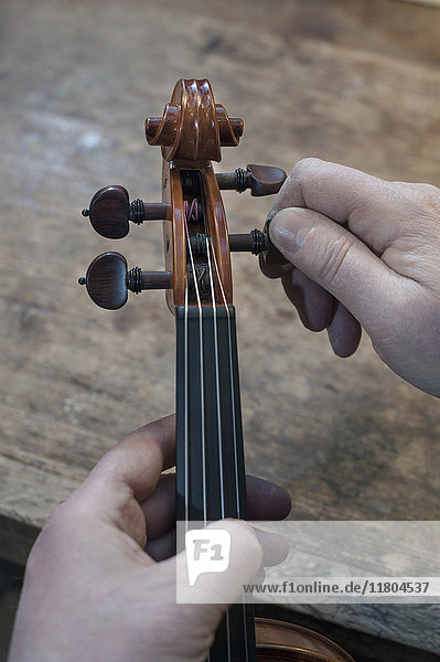Hands of worker holding violin