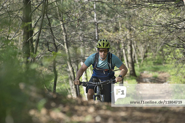 Fahrradfahrer auf unbefestigtem Weg im Wald zwischen Bäumen