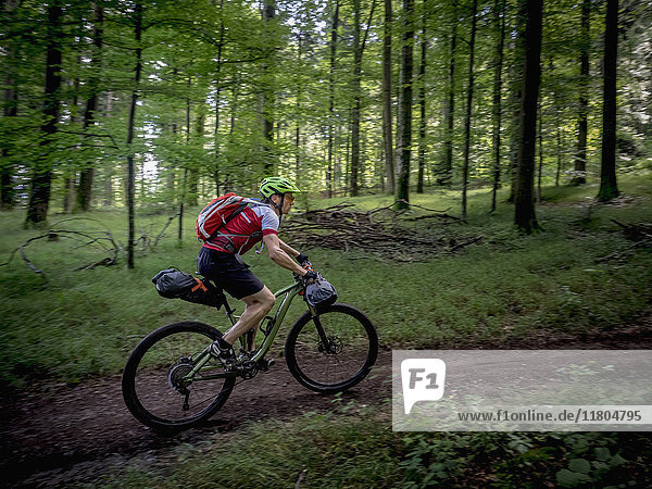Mountainbiker fährt mit einem vollgefederten Mountainbike durch den Wald