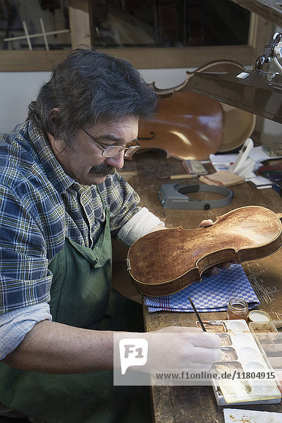 Geigenbauer malt Geige in der Werkstatt
