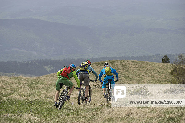 Rear view of three mountain bikers riding cycle on grass