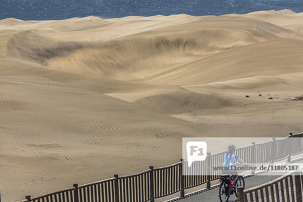 Rückansicht einer Frau  die auf der Straße an einer Sanddüne und am Meer radelt