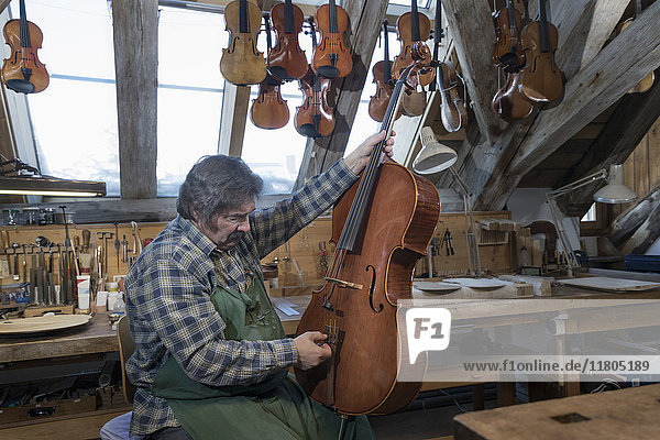 Handwerker repariert Geige in der Werkstatt