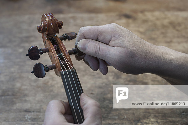 Hands of worker holding violin