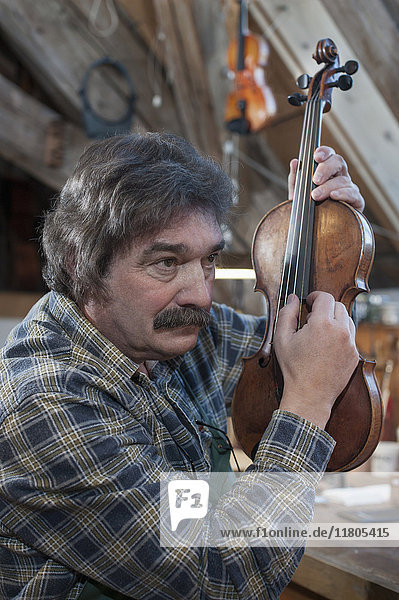 Handwerker prüft Geige in der Werkstatt