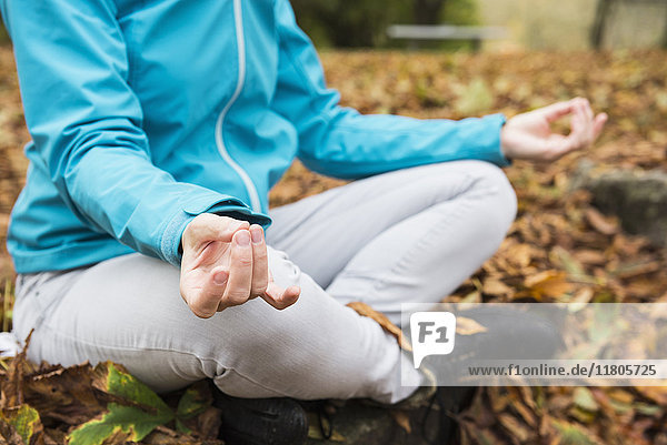 Tiefschnitt einer meditierenden Frau  die auf einem Felsen in einer Herbstlandschaft sitzt