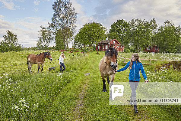 Zwei Mädchen gehen mit Pferden auf der Weide spazieren