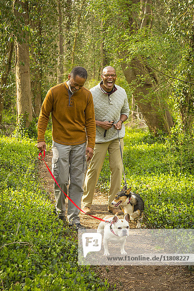 African American men walking dogs on path in forest