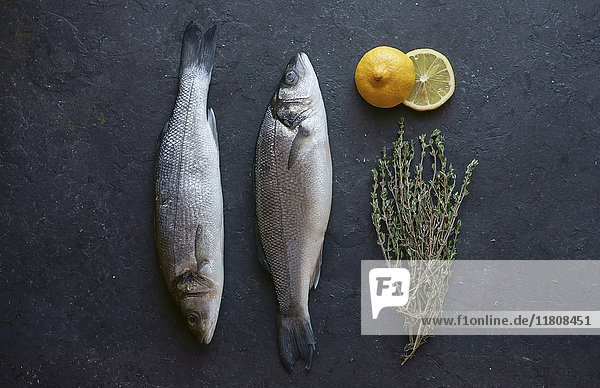 Fisch mit geschnittenen Zitronen und Rosmarin