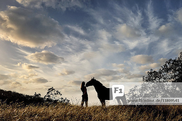 Silhouette einer kaukasischen Frau und eines Pferdes  die in einer Landschaft stehen