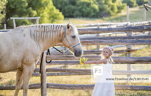 Kaukasisches Mädchen bietet dem Pferd Blumen an