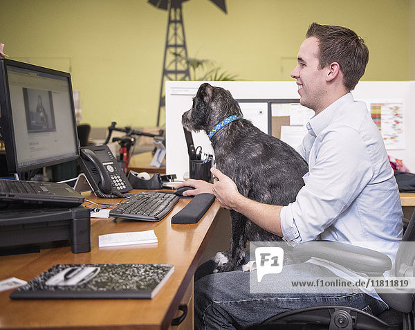 Kaukasischer Mann im Büro mit Hund auf dem Schoß