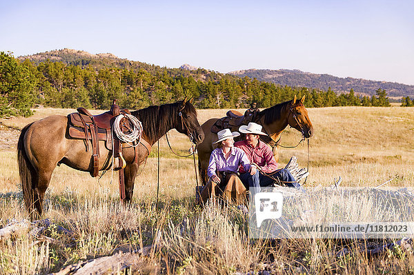 Kaukasisches Paar entspannt sich auf einem Feld mit Pferden