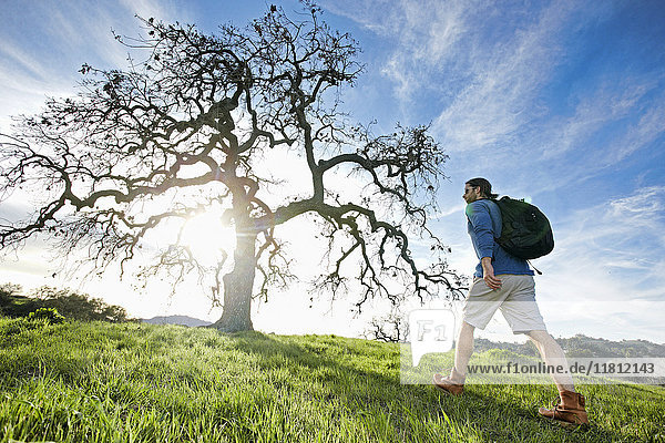 Caucasian man walking in field near tree