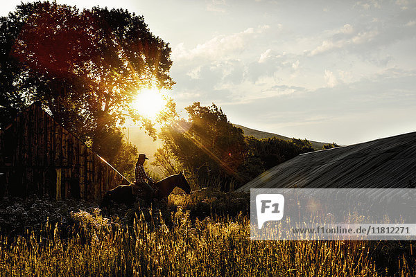 Caucasian woman riding horse near barn at sunset