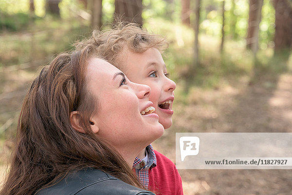 Junge Frau und Sohn schauen gemeinsam aus dem Wald auf