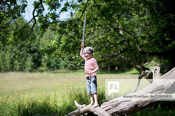 Junge in Piratenkostüm spielt auf Baum