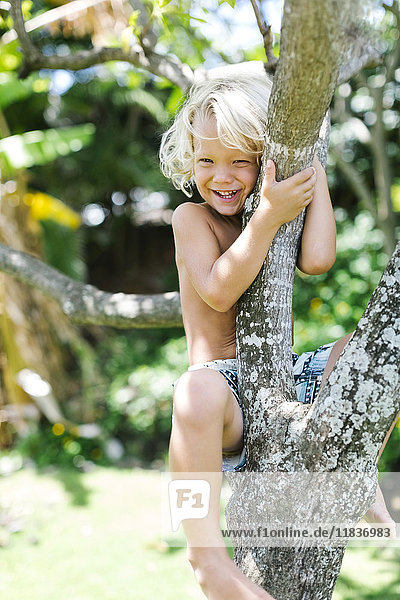Junge (4-5) klettert auf Baum