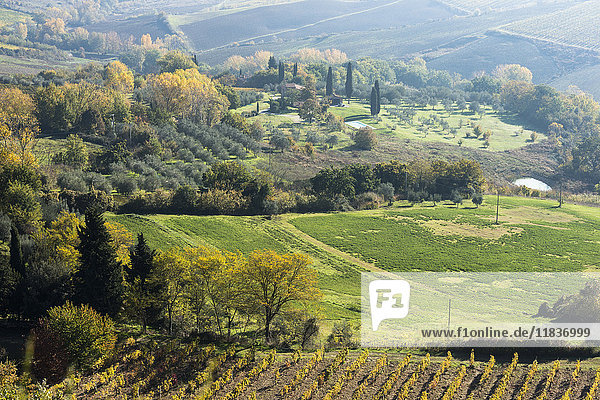 Italien  Toskana  Montepulciano  Landschaft mit Weinfeldern  Reihen von Olivenbäumen  kleinen Gebäuden  Zypressenalleen und buntem Herbstwald