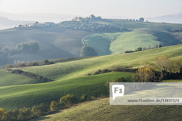 Italien  Toskana  Castiglione D'orcia  Hügellandschaft mit Herbstbäumen und Pflanzen