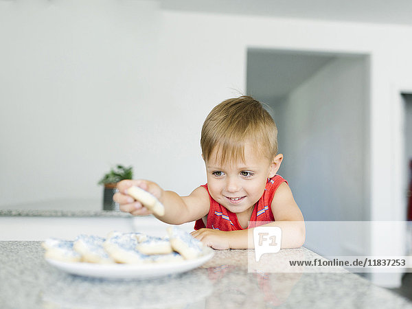 Junge (2-3) greift nach Keksen auf der Küchentheke