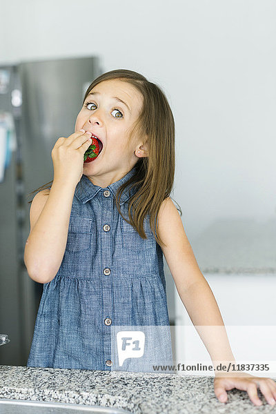 Porträt eines Mädchens (6-7)  das eine Erdbeere isst