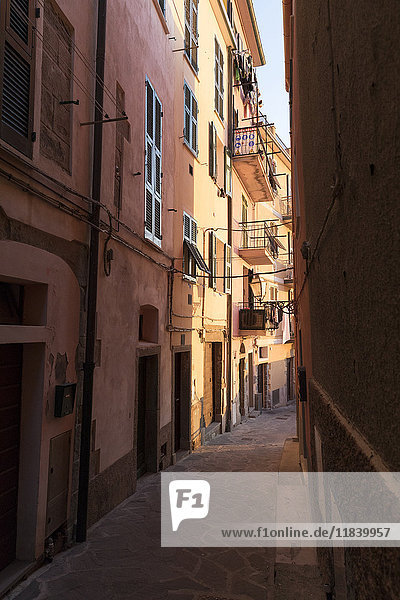 Schmale Straße zwischen Gebäuden  Manarola  Ligurien  Italien